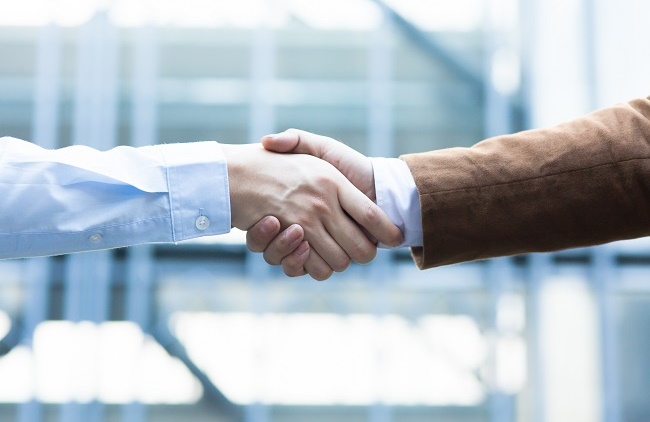 The Role of Public-Private Partnerships in Delivering Nutrition Interventions